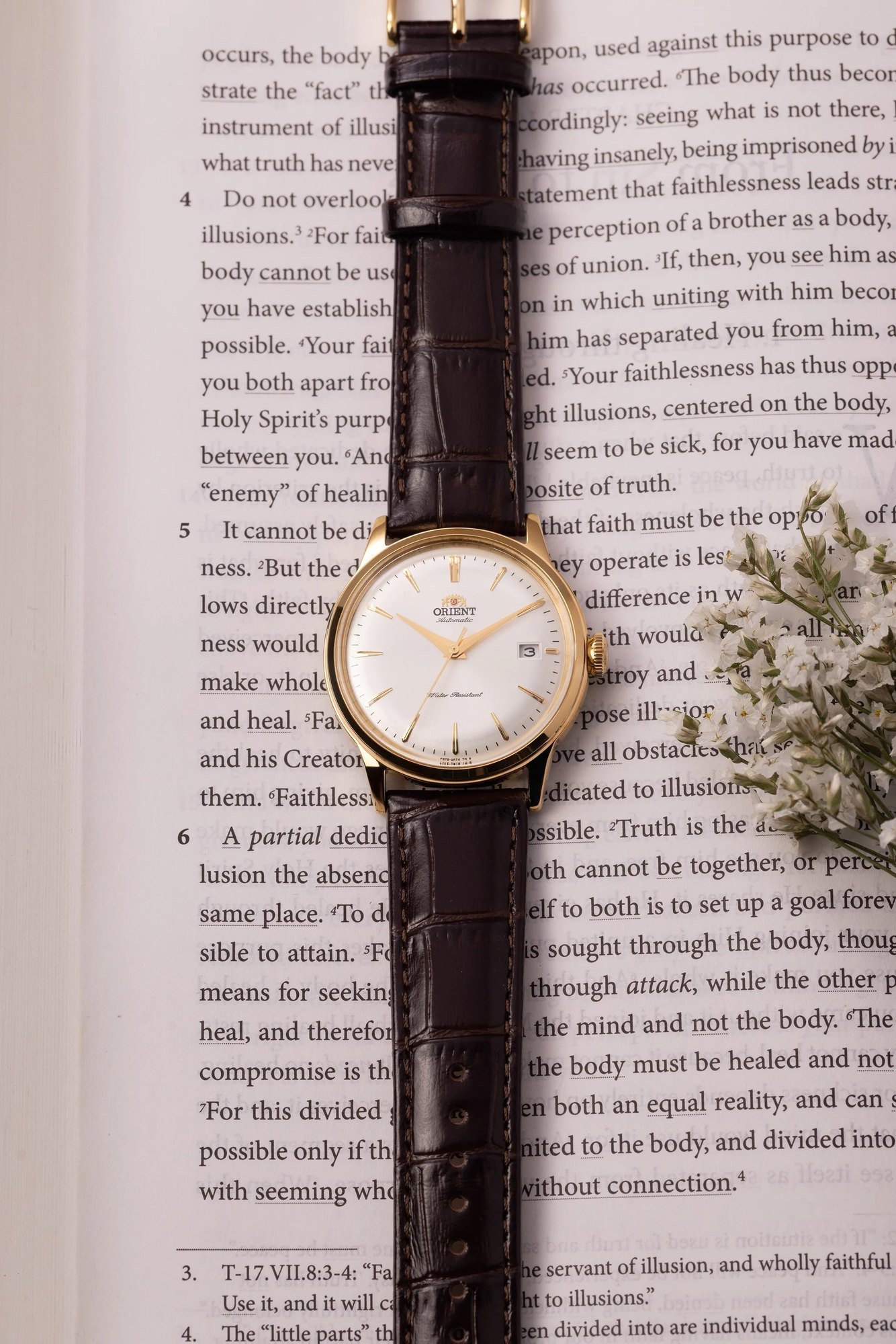 Orient Bambino V7 Automático Branco e Dourado Couro