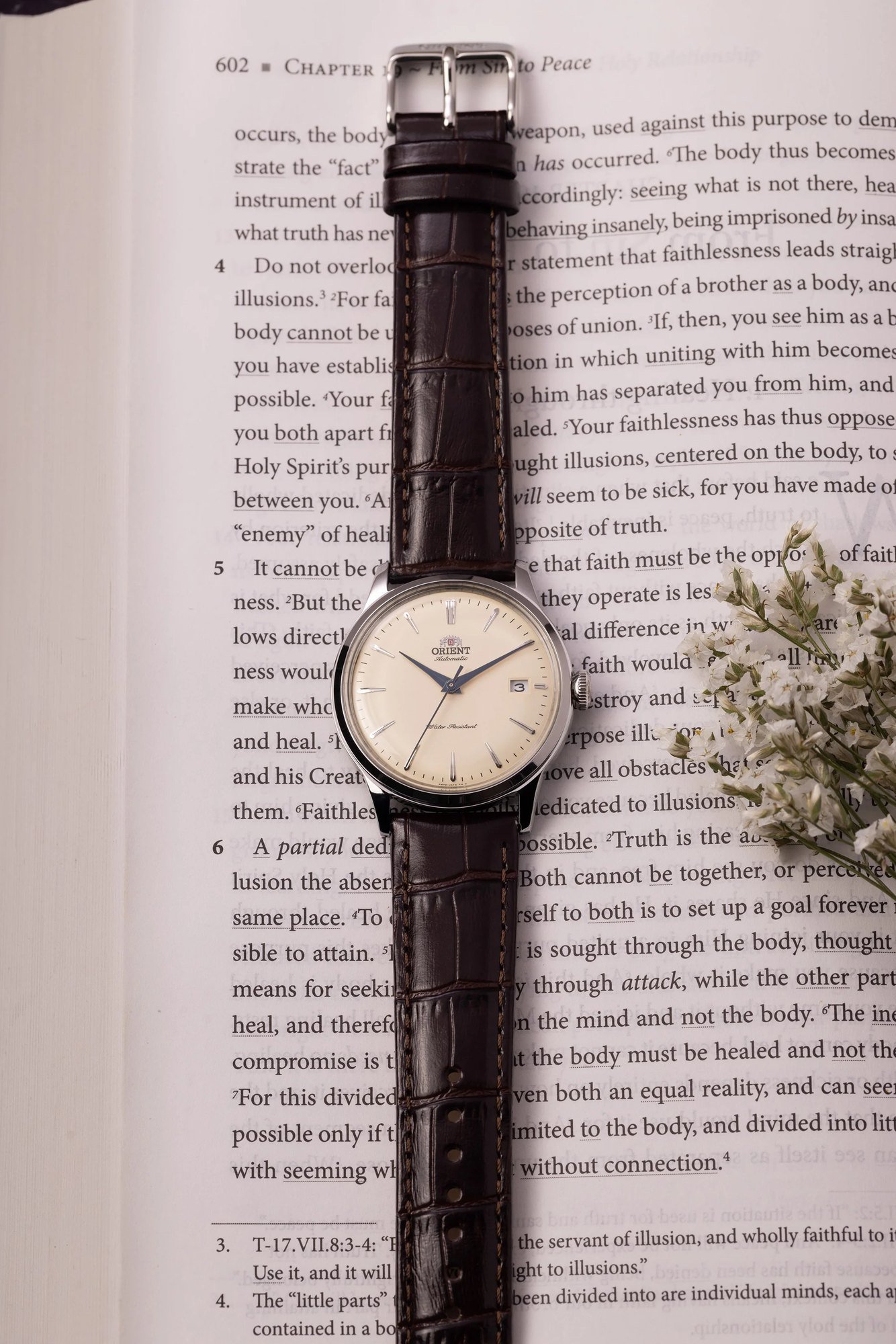 Orient Bambino V7 Automático Bege Couro
