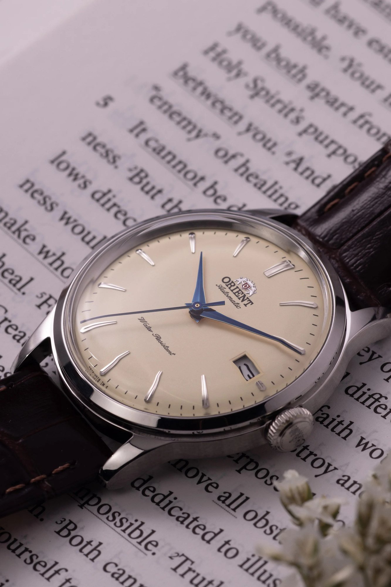 Orient Bambino V7 Automático Bege Couro